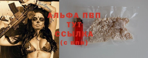 apvp Алзамай