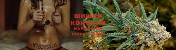apvp Алзамай