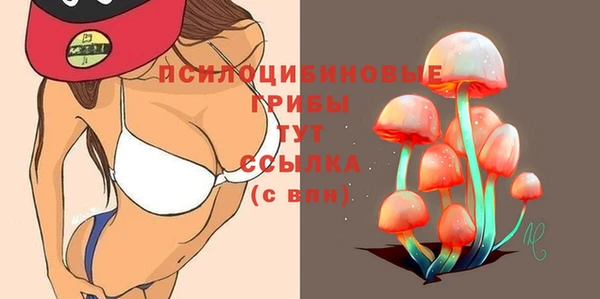 apvp Алзамай