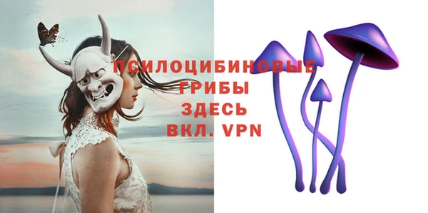 apvp Алзамай
