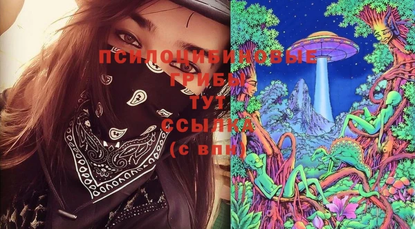 apvp Алзамай