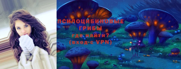 ПСИЛОЦИБИНОВЫЕ ГРИБЫ Алексин