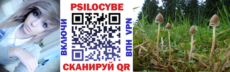 Псилоцибиновые грибы Magic Shrooms  Апатиты 